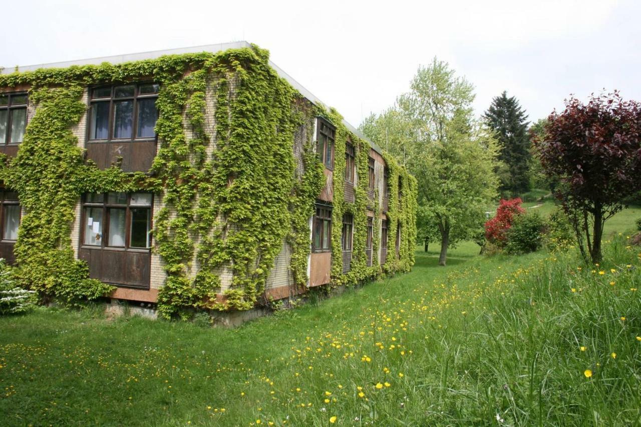 Wildbach Appartement Ober-Hambach Exterior foto